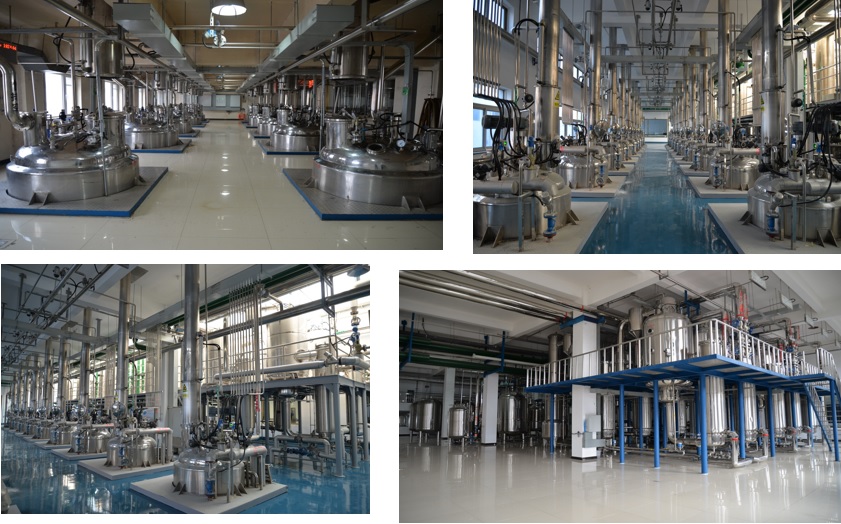 东升国际官网-相信品牌力量