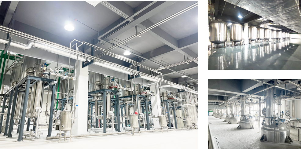 东升国际官网-相信品牌力量